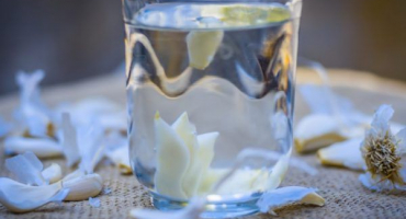 Česneková voda pro orchideje - prospěšné vlastnosti