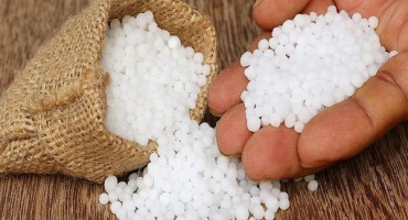 Co je močovina (močovina), návod na použití hnojiv na zahradě