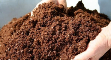 Co je humus, z čeho se skládá a jak vařit doma?