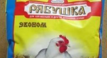 Tetřeví přísada pro nosnice