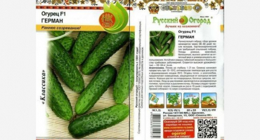 Hybridní odrůda okurek němec