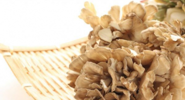 Houbový beran - jakými vlastnostmi je obdařen