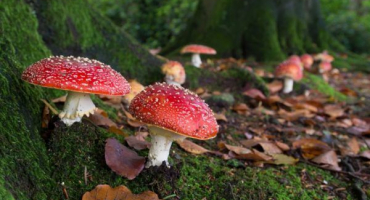 Místa hub v regionu kaluga pro rok 2022