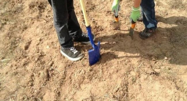 Charakteristika a klasifikace písčitých půd, kde se nacházejí a jak je zlepšit