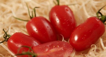 Charakteristika a popis odrůdy rajčat dámské prsty, její výnos