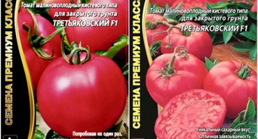 Charakteristika a popis odrůdy rajčat tretyakovsky, její výnos