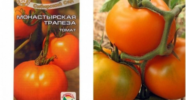 Charakteristika a popis odrůdového klášterního pokrmu rajčat, jeho výnos