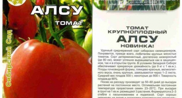 Charakteristika a popis odrůdy rajčat alsou, její výnos