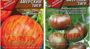 Charakteristika a popis odrůdy rajčat tygr amur