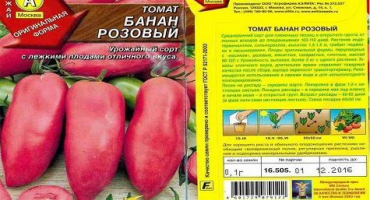 Charakteristika a popis odrůdy rajče banán pomeranč