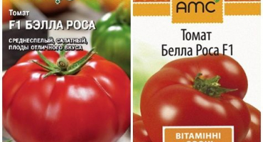 Charakteristika a popis odrůdy rajčat bella rosa, výnos