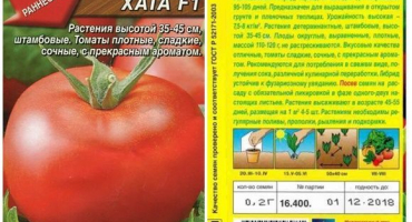 Charakteristika a popis odrůdy rajčete bohaté khata, její výnos