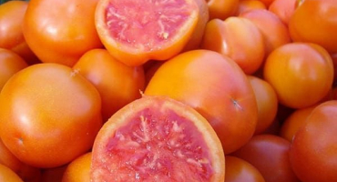 Charakteristika a popis odrůdy grapefruitových rajčat