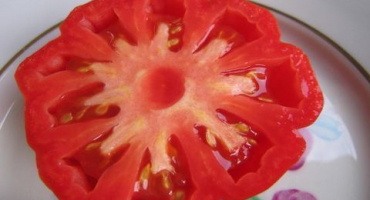 Charakteristika a popis houbového košíku odrůdy rajčat, jeho výnos