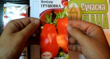 Charakteristika a popis odrůdy rajčete hrušně, její výnos