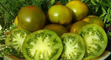 Charakteristika a popis odrůdy rajčete smaragdové, její výnos