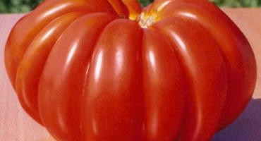 Charakteristika a popis odrůdy rajčatového japonského kraba