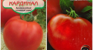 Charakteristika a popis odrůdy rajčete kardinál, její výnos a pěstování