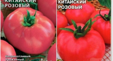 Charakteristika a popis odrůdy čínského růžového rajčete, její výnos