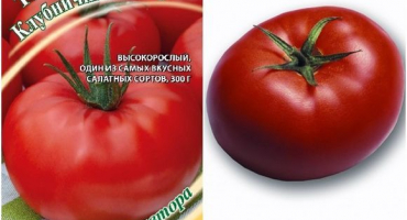 Charakteristika a popis odrůdy rajčat jahodový dezert, její výnos