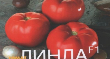 Charakteristika a popis odrůdy rajčete linda