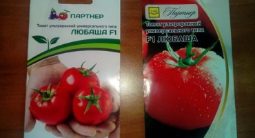 Charakteristika a popis odrůdy rajčat lyubasha a její výnos