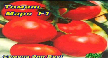 Charakteristika a popis odrůdy rajčat mars f1, výnos