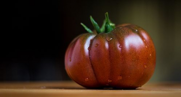 Charakteristika a popis odrůdy rajčat mikado, její výnos
