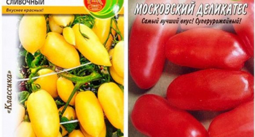 Charakteristika a popis moskevské odrůdy rajčat, její výnos