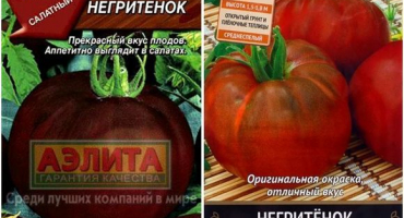 Charakteristika a popis odrůdy rajčat negro, její výnos