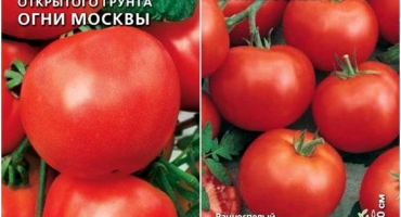 Charakteristika a popis odrůdy rajčat moskva světla, její výnos