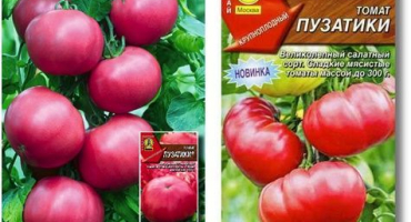 Charakteristika a popis odrůdy bramborových rajčat