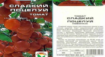 Charakteristika a popis odrůdy rajčete sweet kiss, její výnos