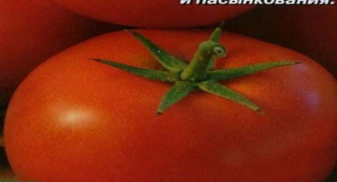 Charakteristika a popis odrůdy rajčat snezhana