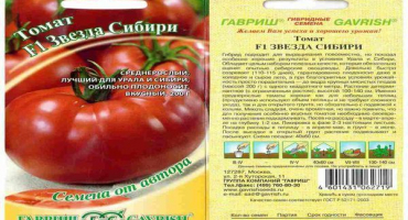 Charakteristika a popis odrůdy rajčat hvězda sibiře