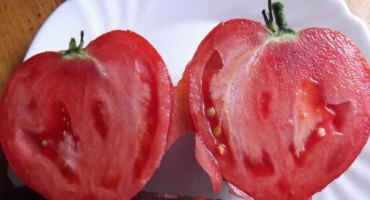 Charakteristika a popis odrůd rajčat milující srdce a červené máslové srdce, jejich produktivita