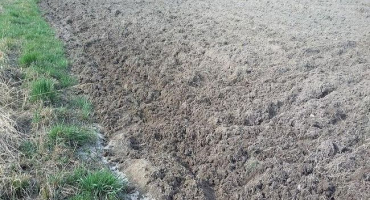 Charakteristika a obsah humusu v sierozemních půdách, kde