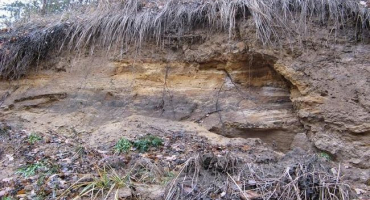 Charakteristika a vlastnosti slatinně-podzolových půd, jejich využití
