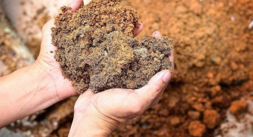 Charakteristika a vlastnosti jílovité půdy, jak ji zúrodnit