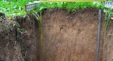 Charakteristika a podmínky pro vznik podzolových půd, úrodnost