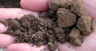 Charakteristiky půdních struktur a která je považována za nejlepší, na čem závisí