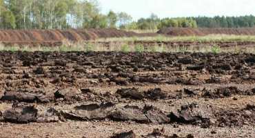 Charakteristika a vlastnosti rašelinných půd, typy a způsoby zlepšování