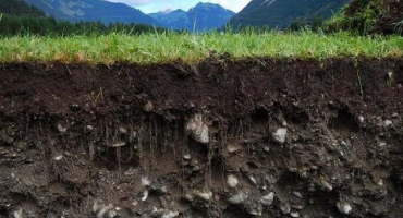 Charakteristika a vlastnosti horských půd, typy a oblasti rozšíření
