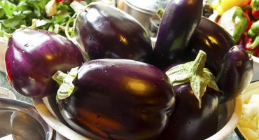 Charakteristika a pěstování černého fešáka lilku