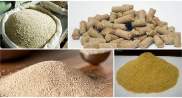 Chemické složení a návod k použití krmných kvasnic pro skot