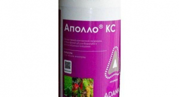 Návod k použití akaricidu apollo, dávkování a analogy léku