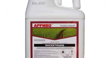 Pokyny pro použití arrivo a složení insekticidu, dávkování a analogy