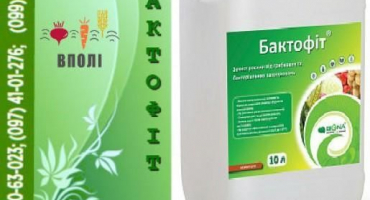 Pokyny pro použití baktofytu pro rostliny, složení a analogy fungicidu