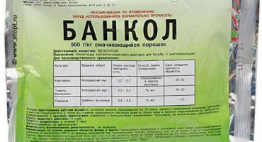 Pokyny pro použití bankcolu a složení insekticidu, dávkování a analogy