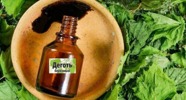 Pokyny pro použití březového dehtu v zahradě před chorobami a škůdci